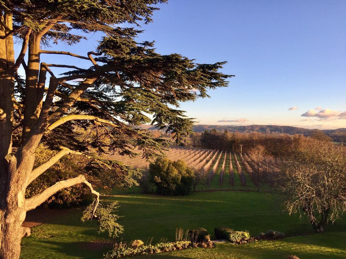 Glewstone Court Country House Hotel Ross-on-Wye Εξωτερικό φωτογραφία